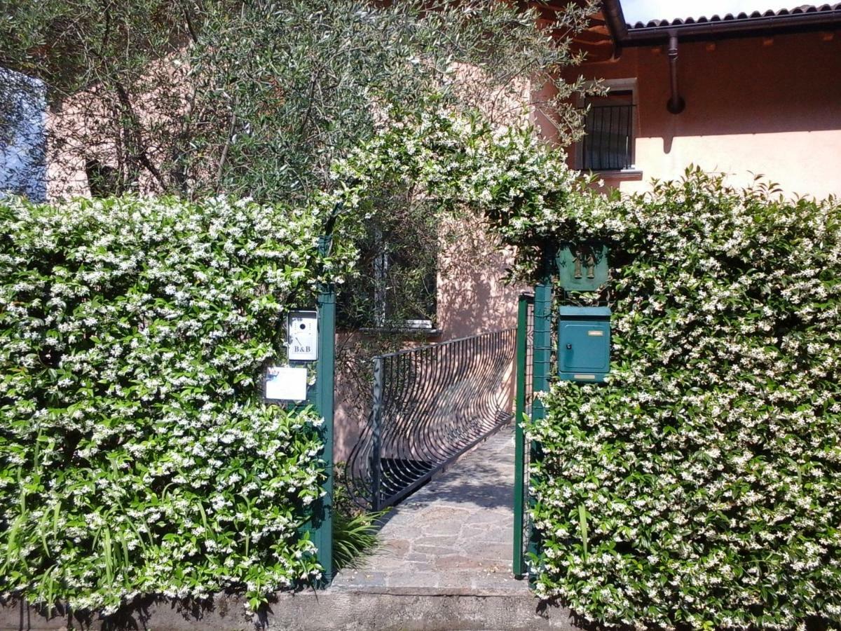 B&B L'Erica Onno Kültér fotó